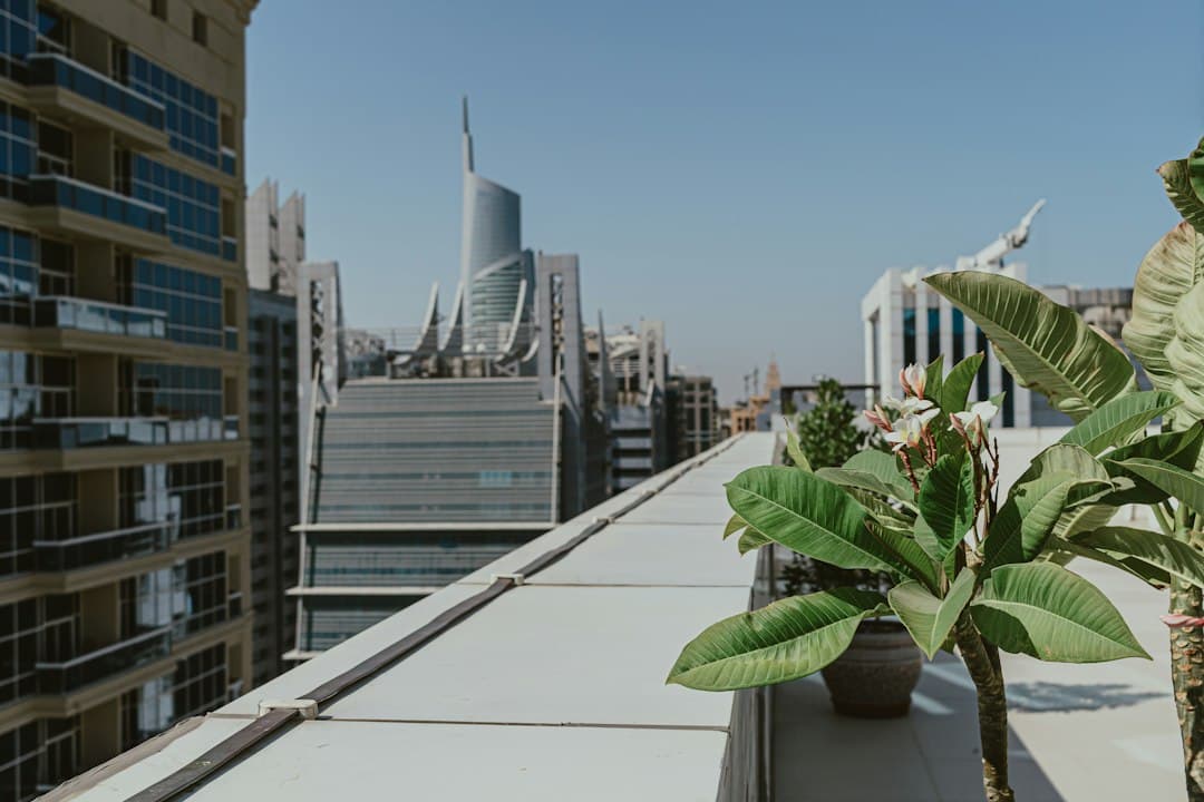 Balcony and Terrace Styling Ideas for Dubai Apartments