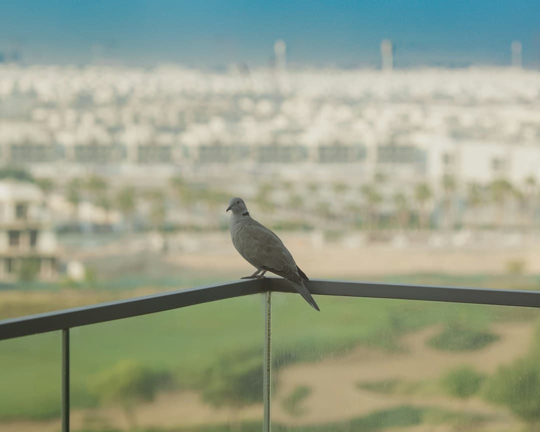 New Build, New You: How to Give Your Dubai Apartment Character (Without Overspending)